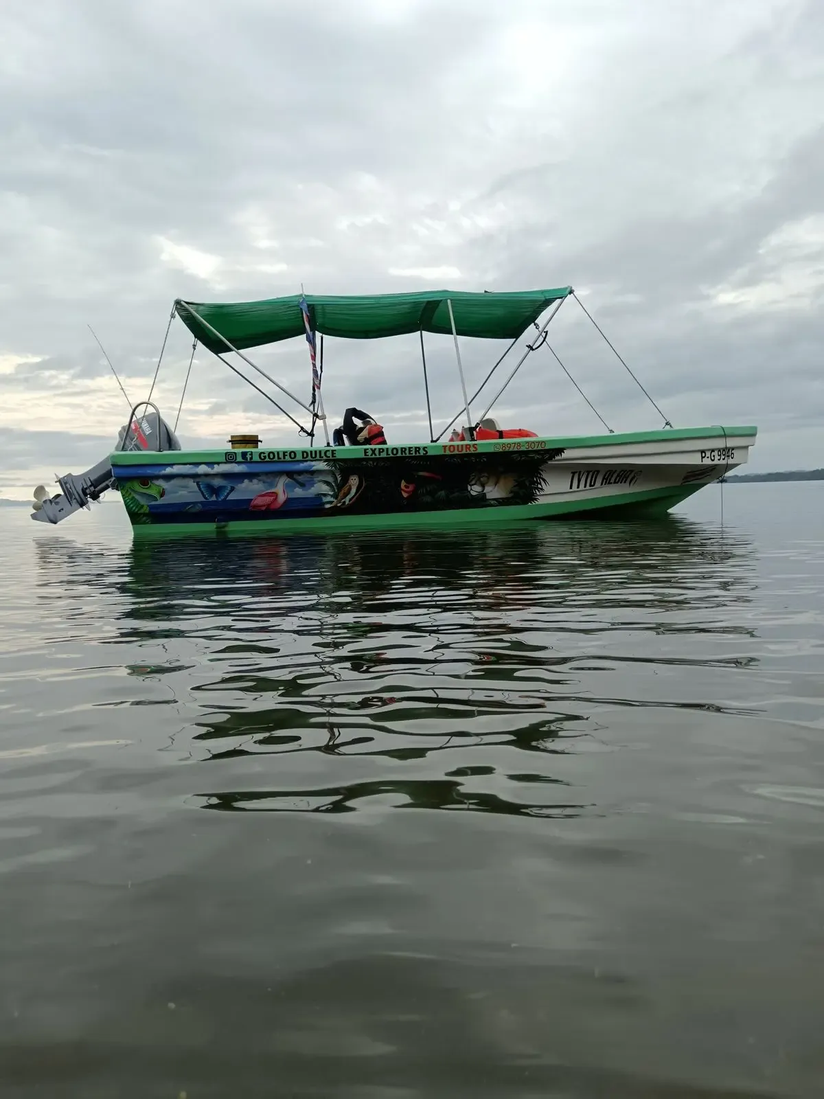 Dolphin and Whale Watching Tour in Golfo Dulce