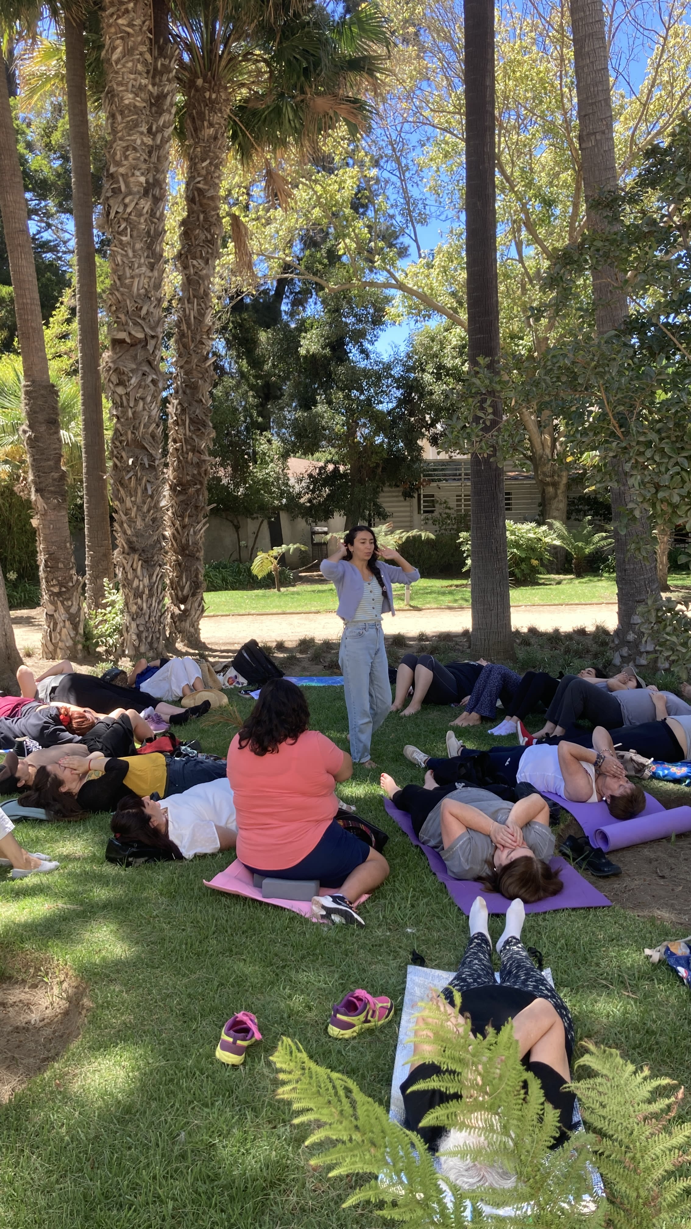 Encuentro de bienestar y conexión con la naturaleza en Viña del Mar