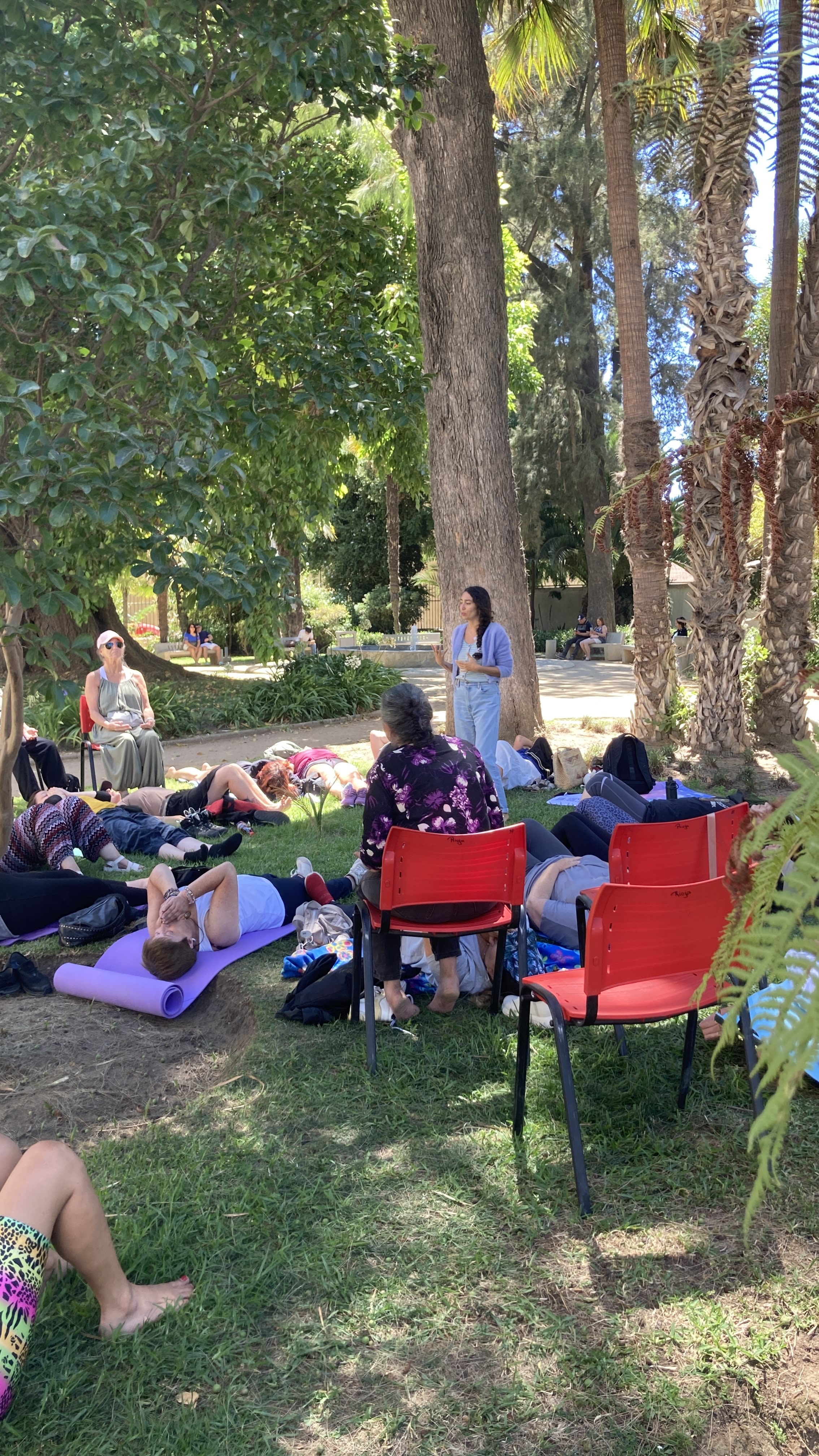 Set de productos doTERRA para potenciar el bienestar emocional
