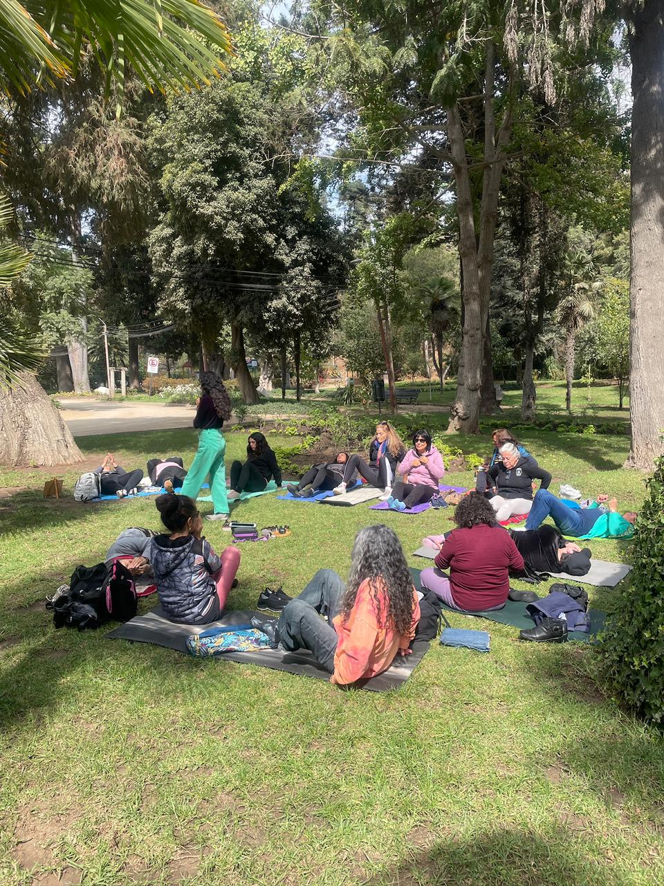 Sesión grupal de meditación al aire libre