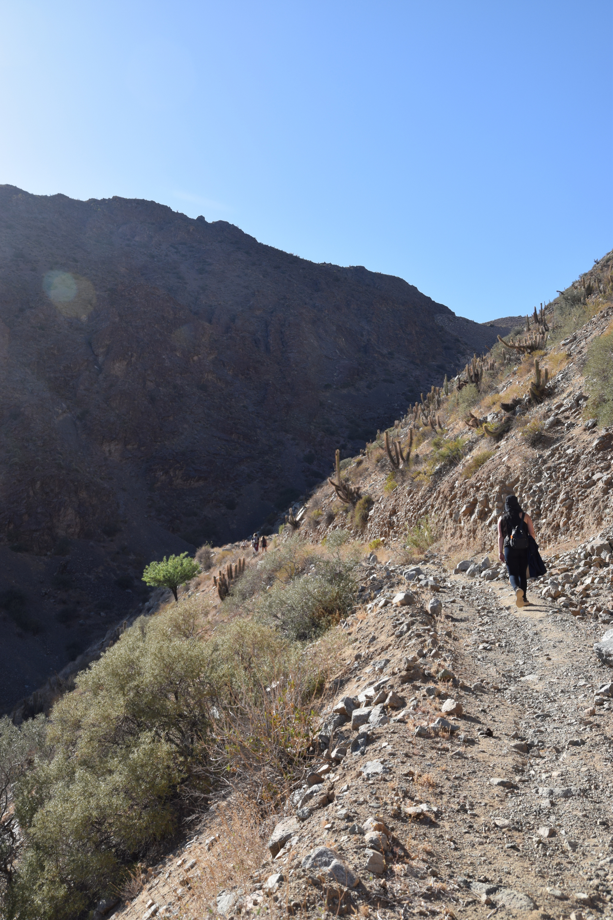 Paseo por la naturaleza