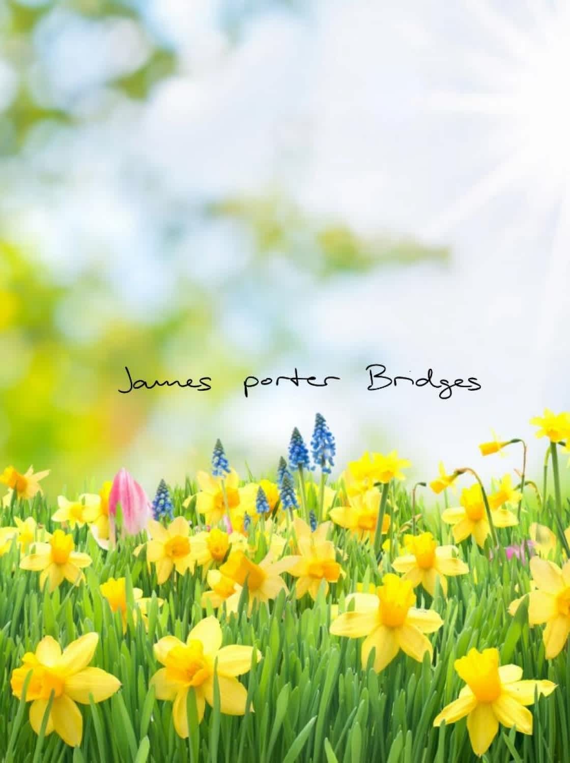 james_poter_bridges