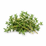 Thyme