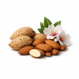 Almond