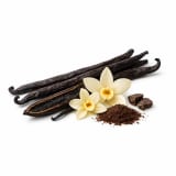 Madagascar Vanilla