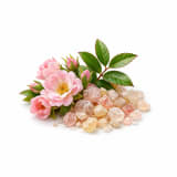 Rosyfolia