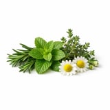 Herbal Notes