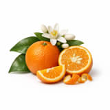 Bitter Orange