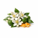 Tunisian Neroli