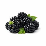 Blackberry