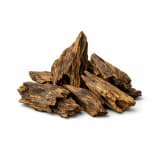 Cambodian Oud