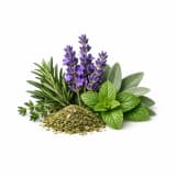Aromatic Notes