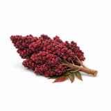 Sumac