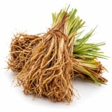 Tahitian Vetiver