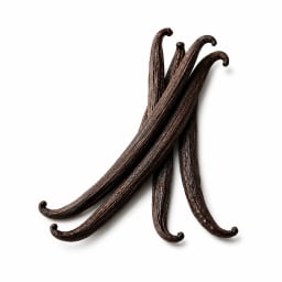 Vanilla