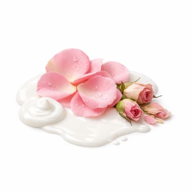 Rose Milk note