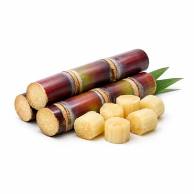 Sugar Cane note