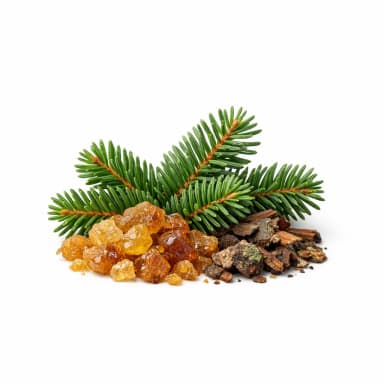 Balsam Fir note