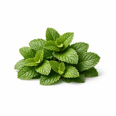 Spearmint note