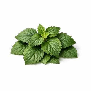 Indonesian Patchouli Leaf note
