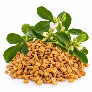 Fenugreek note