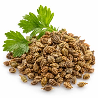Celery Seeds note