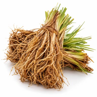 Tahitian Vetiver note