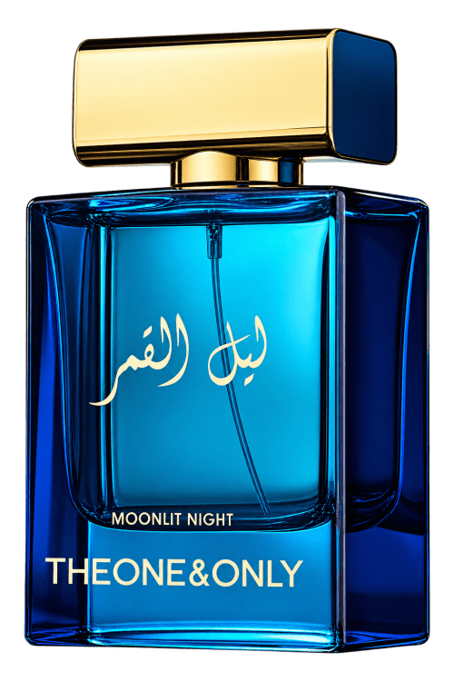Moonlit Night
