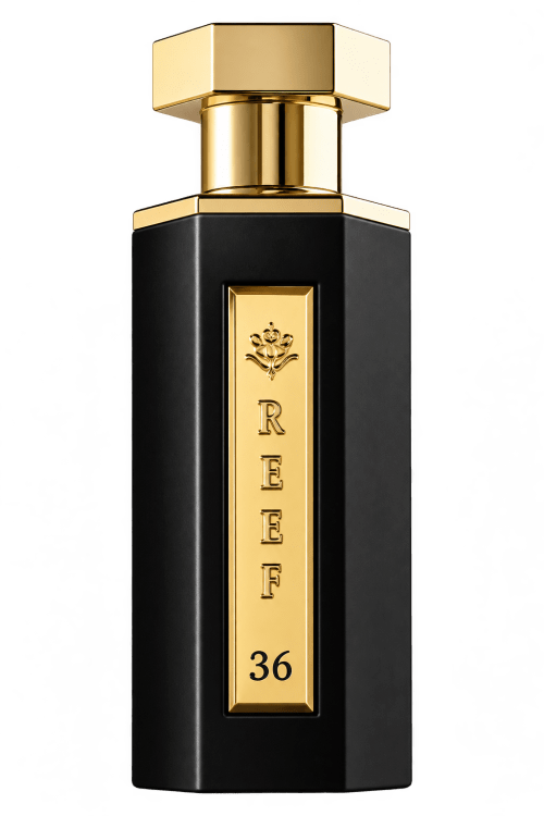 REEF 36