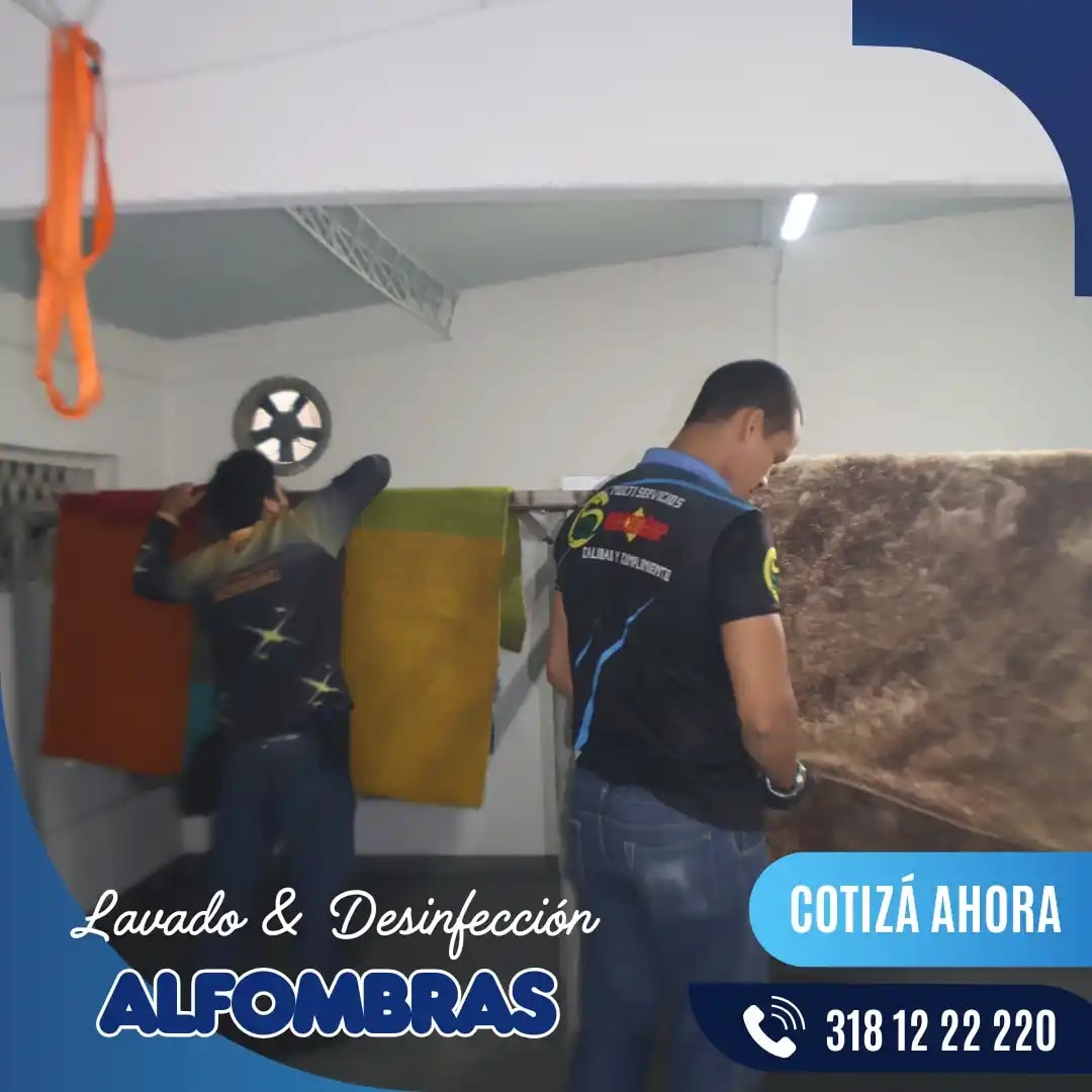 Alfombra renovada completamente