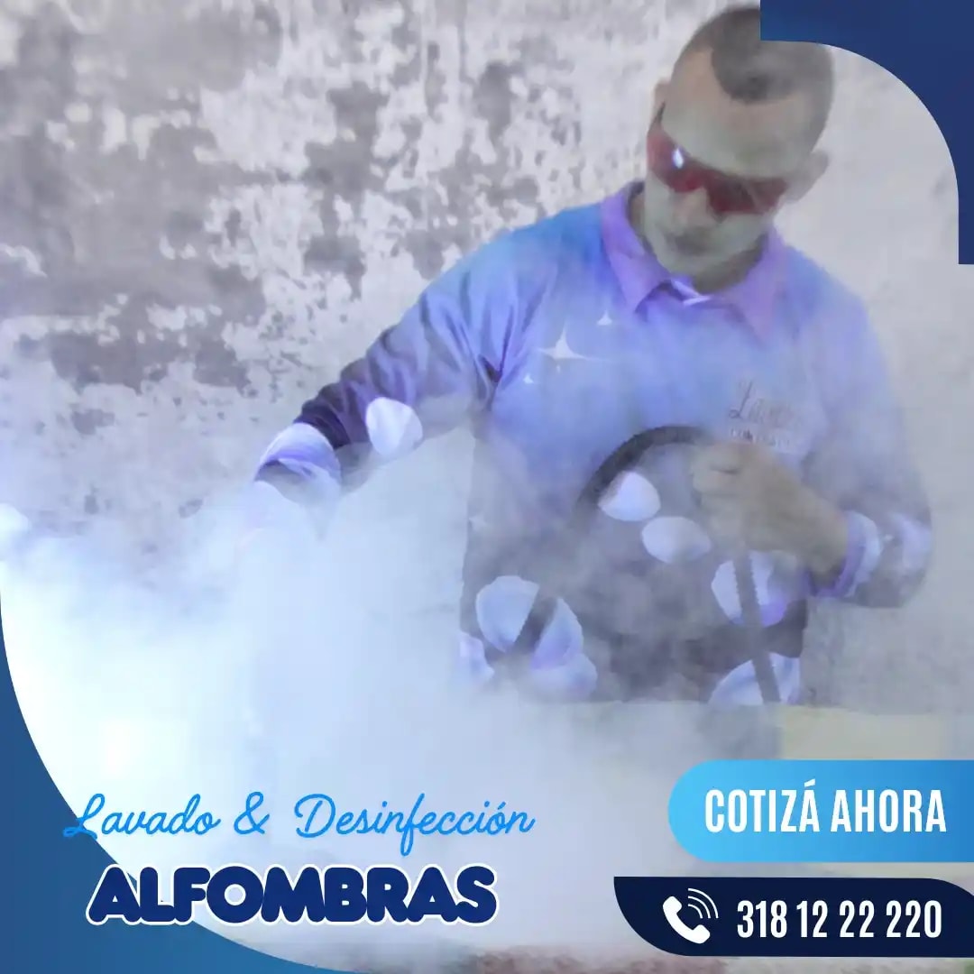Alfombra renovada completamente