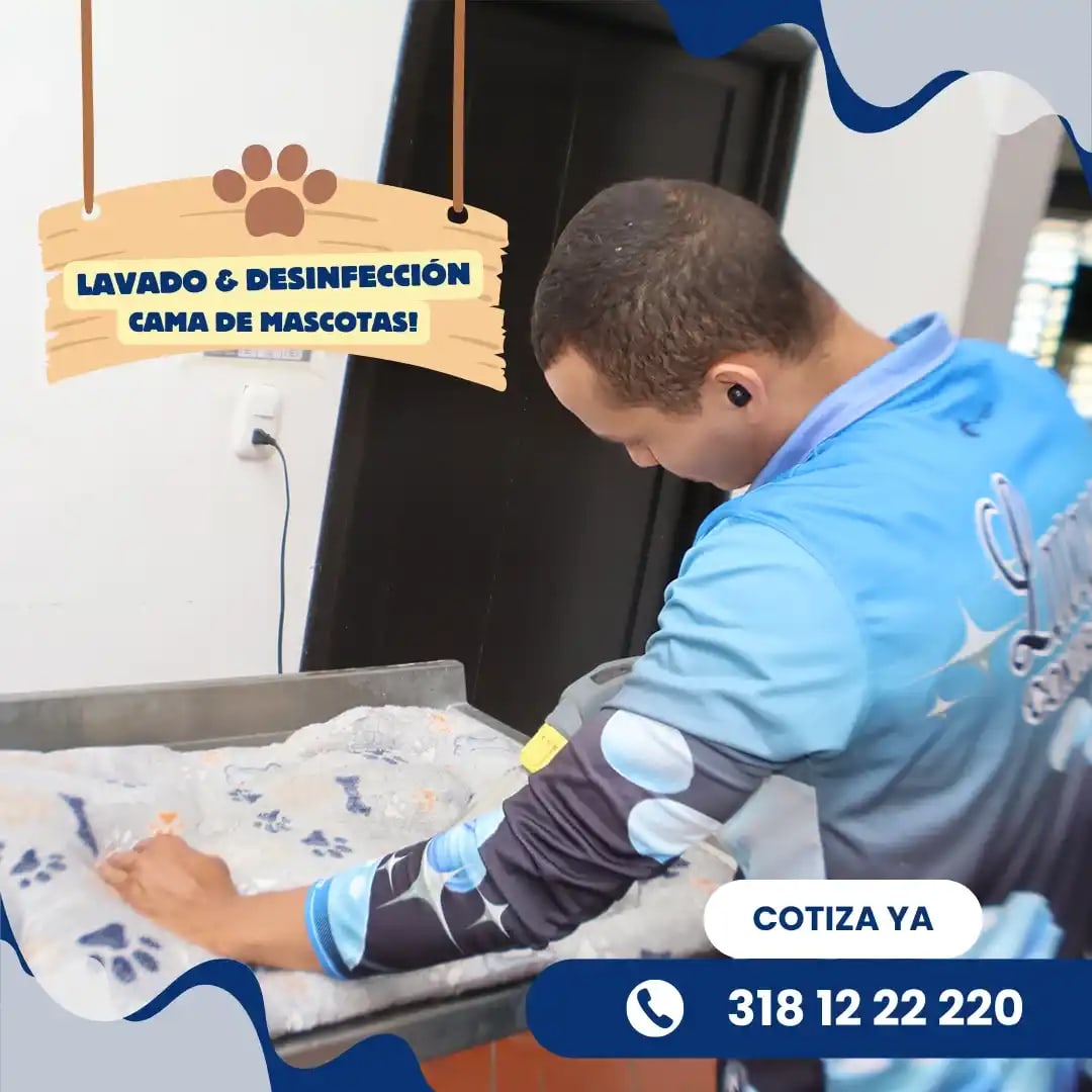 Alfombra renovada completamente