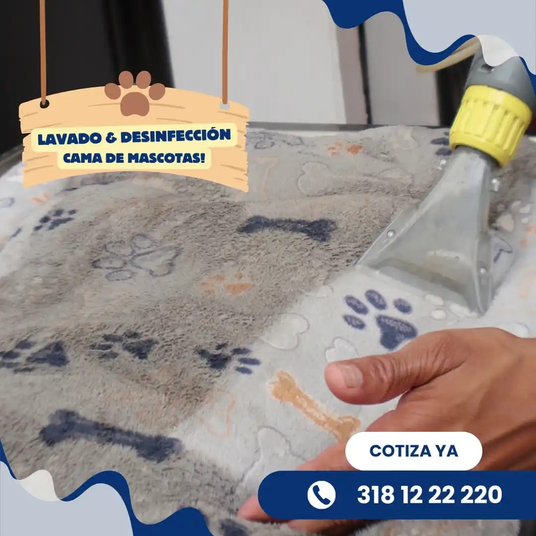 Equipo profesional trabajando