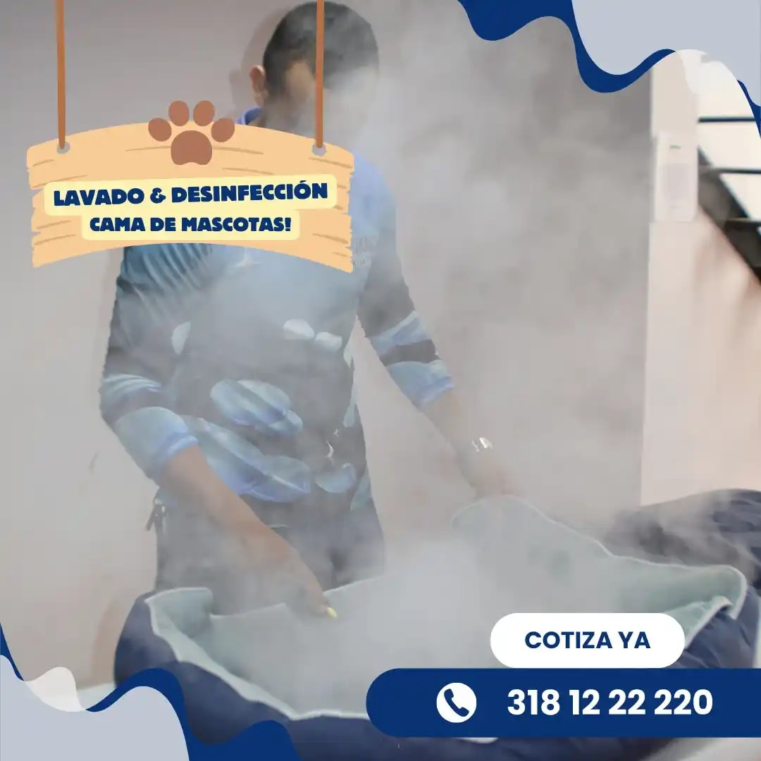 Proceso de limpieza profunda