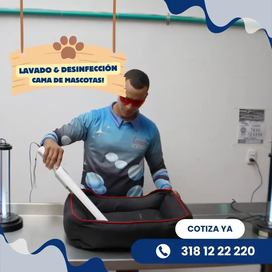 Alfombra antes y después del lavado