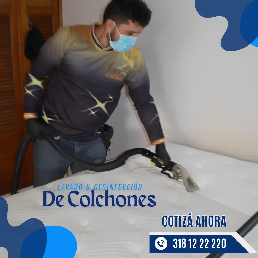 Proceso de limpieza profunda