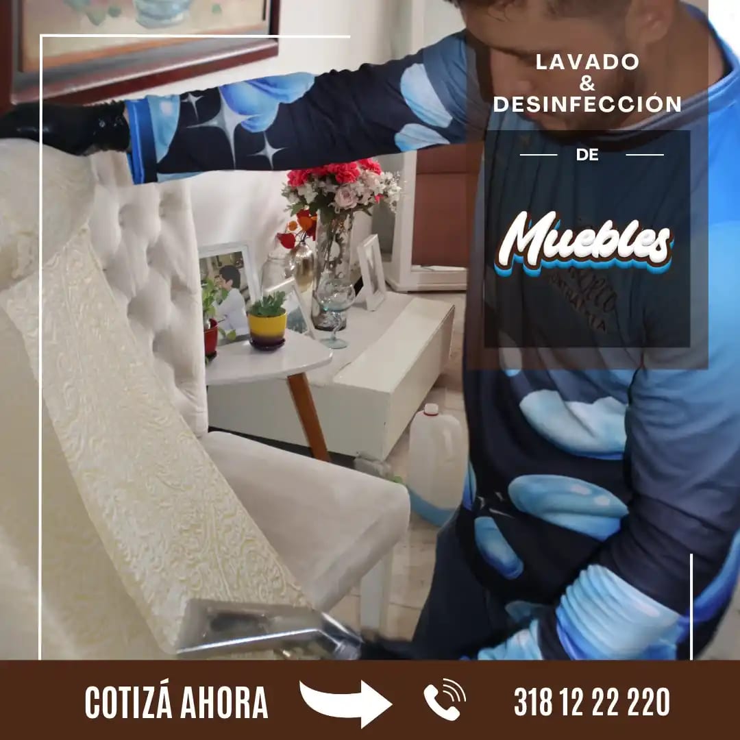Proceso de lavado profesional