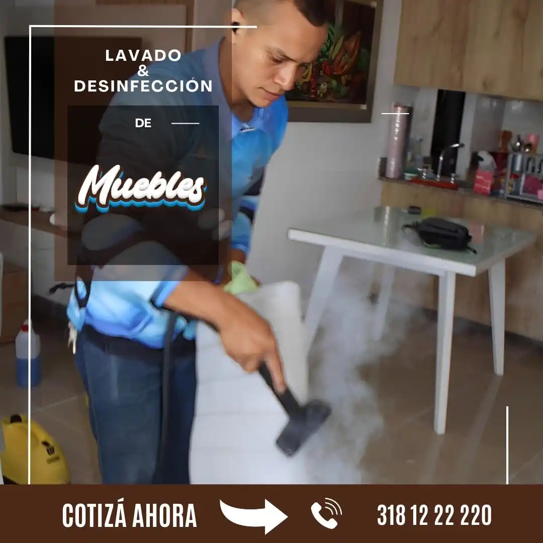 Sofá antes y después del lavado