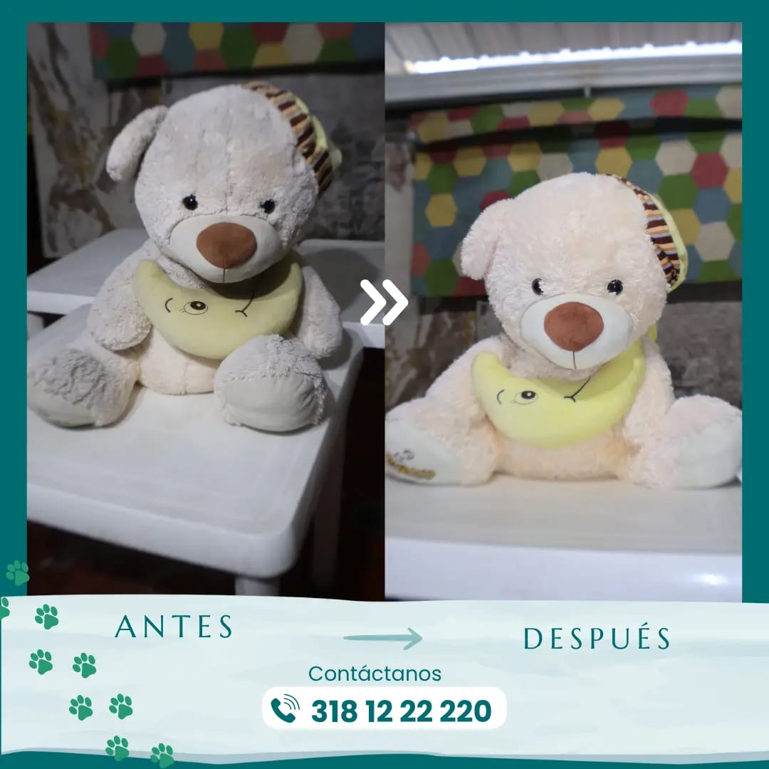 Variedad de peluches limpios