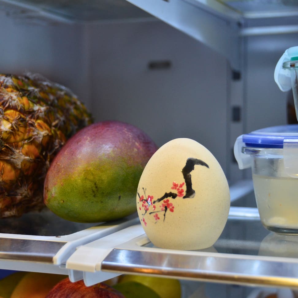 Tamagô na geladeira