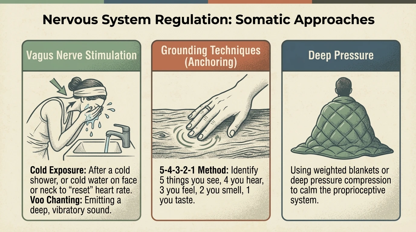 Three somatic approaches for nervous system regulation: vagus nerve stimulation, grounding, breathing techniques