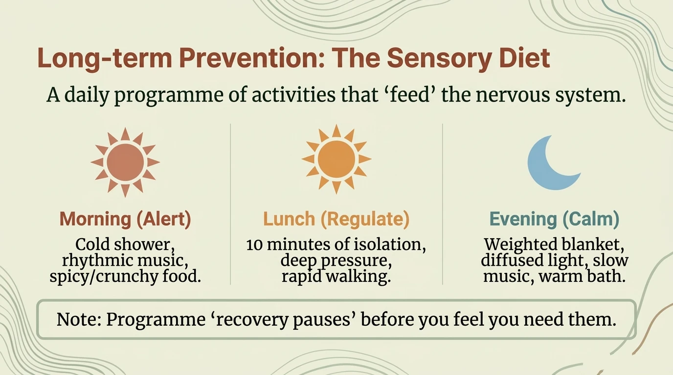 Daily sensory diet program: morning, afternoon and evening activities for nervous system regulation
