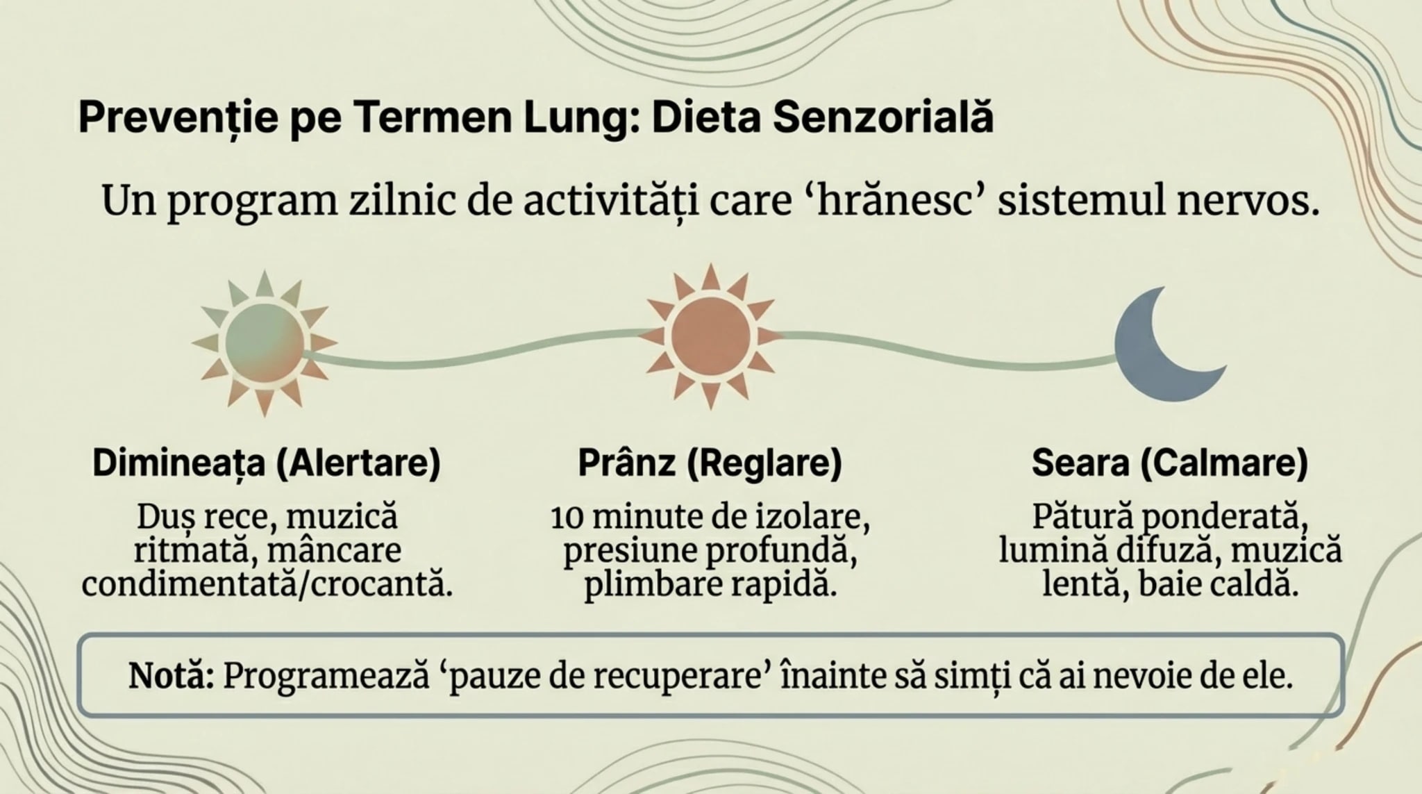 Program zilnic de dieta senzoriala: activitati de dimineata pranz si seara pentru reglarea sistemului nervos