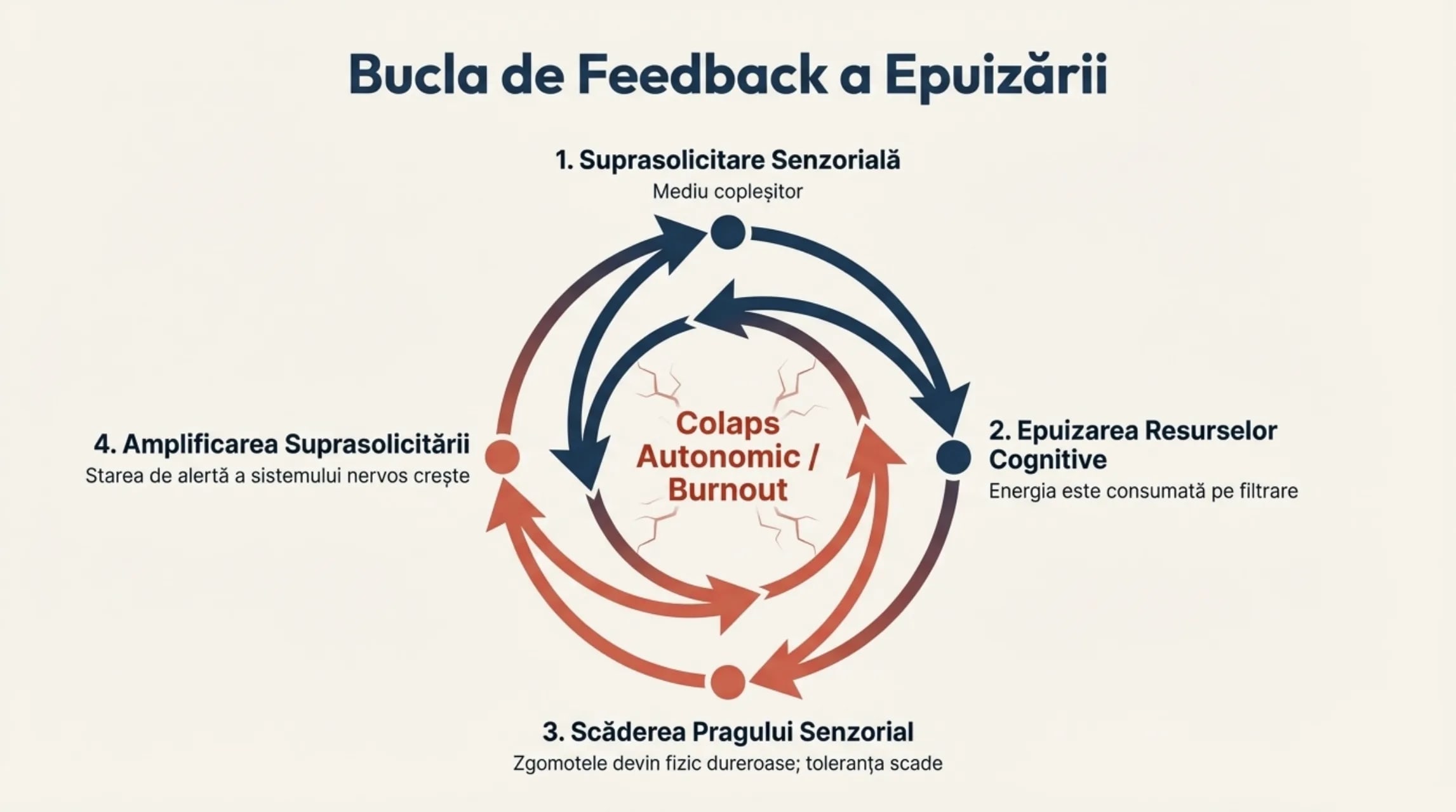Diagrama circulara cu patru etape: suprasolicitare senzoriala, epuizarea resurselor cognitive, scaderea pragului senzorial, amplificarea suprasolicitarii
