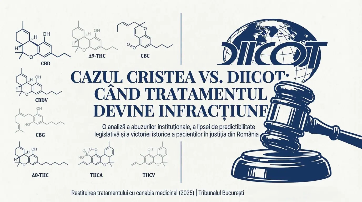 Cazul Cristea vs. DIICOT - Infografic cover
