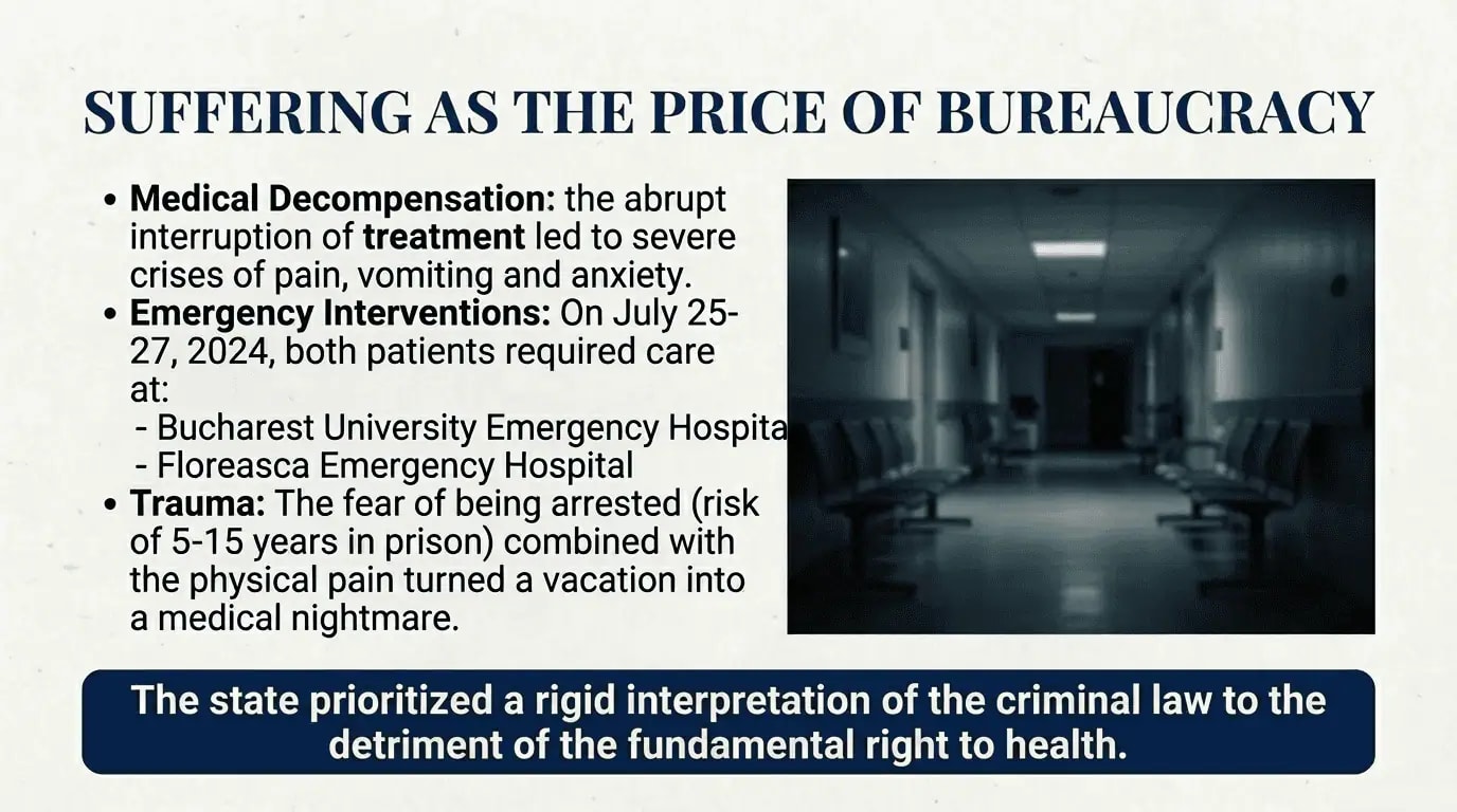 The Cristea Precedent - Court Arguments