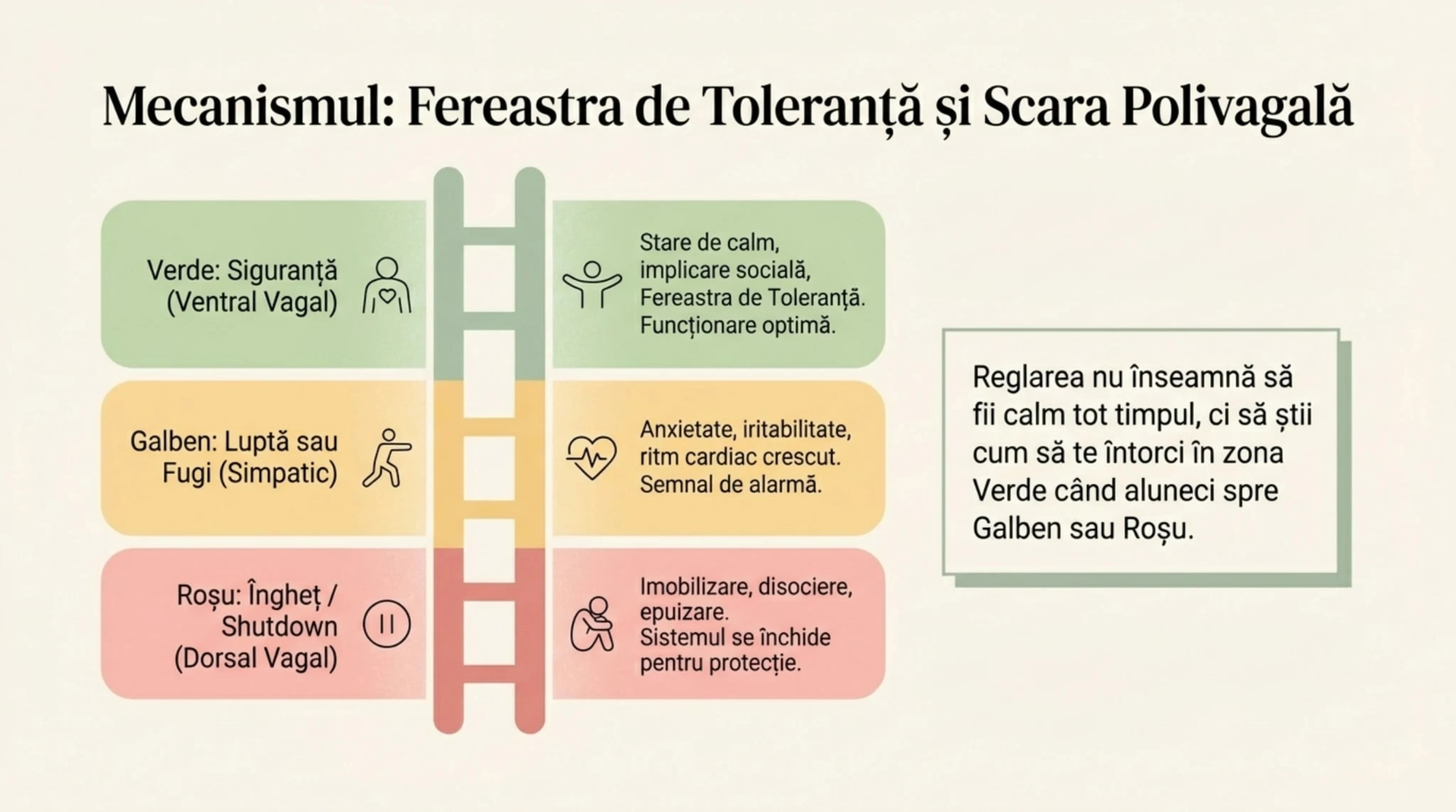 Anatomia Burnout-ului Neurodivergent — Partea IV: Recuperarea