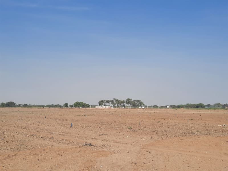 Inmobiliaria Marrufo 1