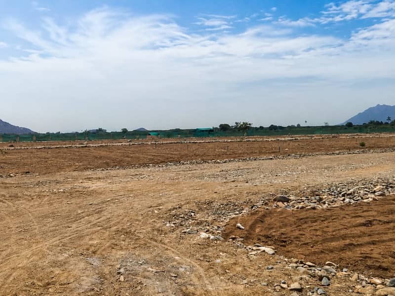 Inmobiliaria Marrufo 3