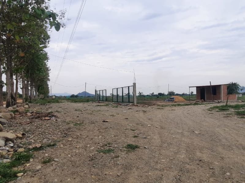 Inmobiliaria Marrufo 4